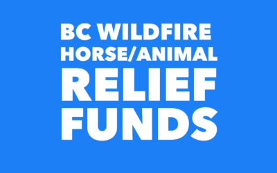 BC WILDFIRE RELIEF EFFORTS 2021