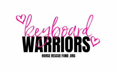 WE LOVE KEYBOARD WARRIORS