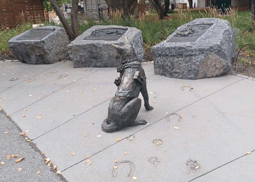 Actor Kate Drummond wears this shirt saves horses' lives t-shirt